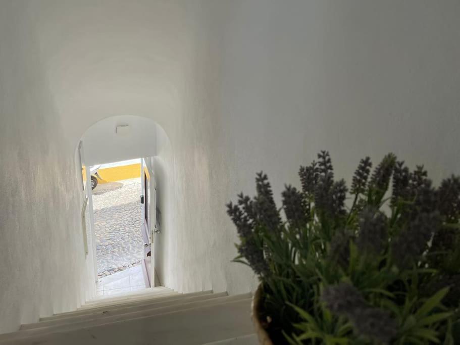 Apartamento Casa Da Oliveira Évora Exterior foto